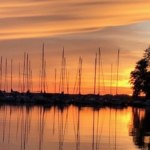 Fundraising Page: Maria Bolan